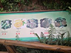 -石家庄市植物园