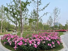 -西海子公园