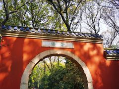 -灵谷景区