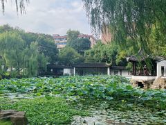 -墅园