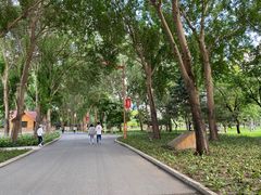 -长春公园(普阳街道)