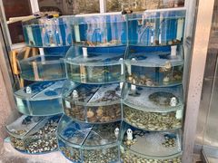 -海之味海鲜大咖·家常菜