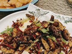 -中国吉菜名店广源宾馆餐厅