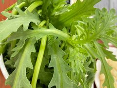 -岳合轩老北京涮肉