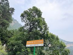 -北京上方山国家森林公园