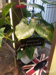 -木北护肤造型