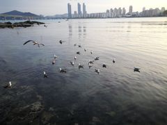 -广安大桥