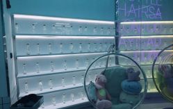 -P.STYLE 派斯造型