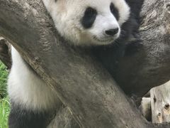 -宁波野生动物园