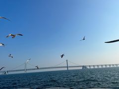 -星海广场