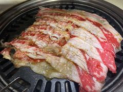 -猫爪爪原切自助烤肉(观音桥阳光世纪店)