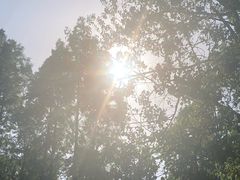 -黄海国家森林公园