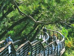 -深圳仙湖植物园