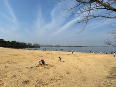 -瑶湖郊野森林公园