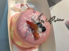 -狐狸和向日葵(北京路店)