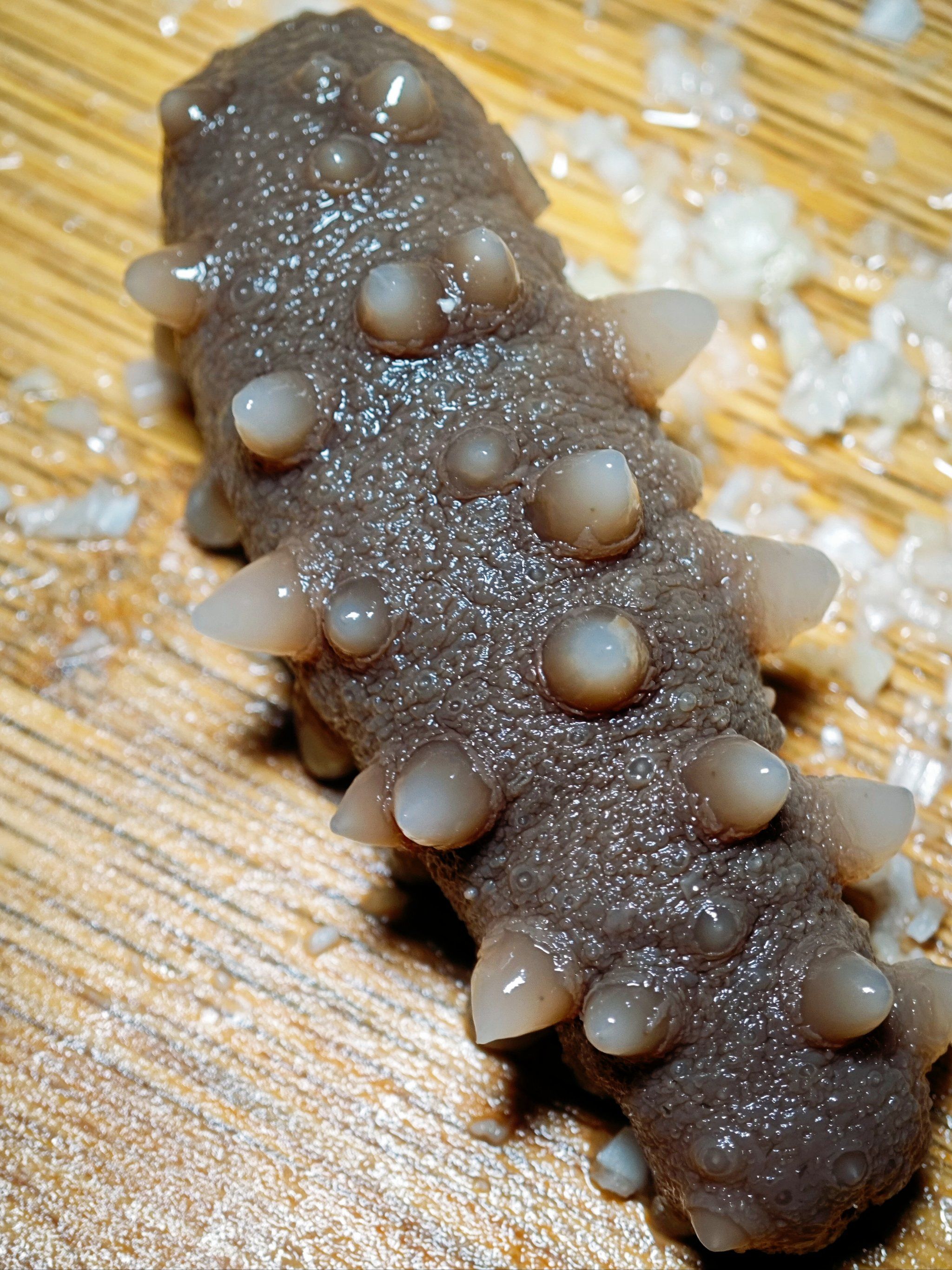 大连海参,东海火箭鱿,东海花虾三鲜打卤手擀面