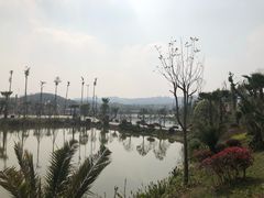 -枫香湖儿童公园