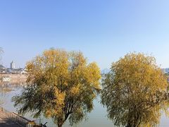 -黎阳老街
