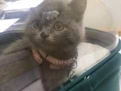 -惠康宠物医院(华能路店)