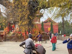 -大槐树寻根祭祖园