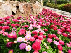 -上海望仙安息园