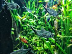 -成都浩海立方海洋公园