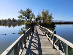 -野鸭湖国家湿地公园