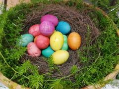 -海口绿发希尔顿酒店-田园汇自助餐·三文鱼·海鲜