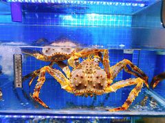 -前王院•巧克力海鲜市集餐厅(万平口店)