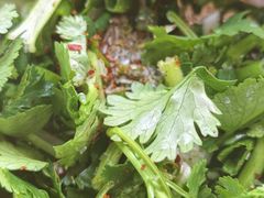 -贵州沾水米线(学田湾店)