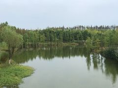 -上海长兴岛郊野公园