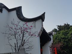 -乌山风景区