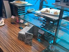 -瑞德姆美人鱼海底演艺主题餐厅(亚龙湾店)