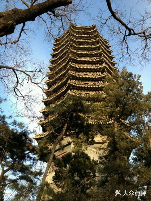 北京大學-博雅塔圖片-北京學習培訓-大眾點評網