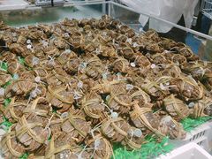 -盒马X会员店(上海森兰商都店)