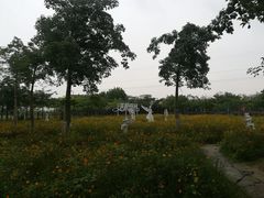 -广东花都香草世界旅游度假区