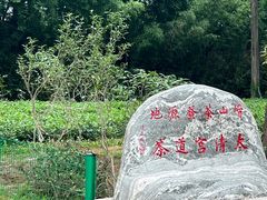 -青岛崂山太清宫