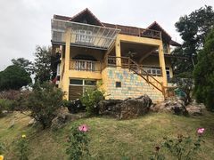-黄色小屋