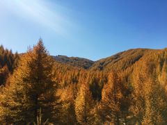 -苏木山森林公园