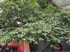 -李东农庄(中南百草园地标店)