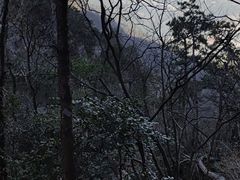 -庐山风景名胜区