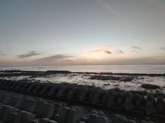 -南汇新城海滩