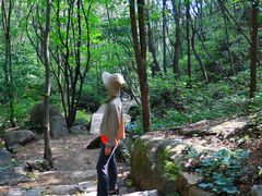 -大岭沟猕猴桃谷风景区