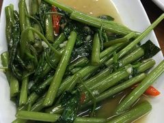 空心菜-Larp Silom 3