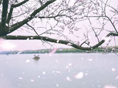 -颐和园