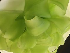 蜀九香火锅酒楼(九眼桥店)-蜀九香火锅(九眼桥店)