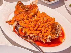 -洋洋中餐馆·SINCE 1997(龙湖星湖天街店)