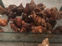 -富力希尔顿酒店·地阔自助餐厅