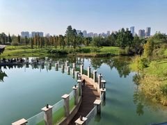 -眉山湿地公园(东坡区)