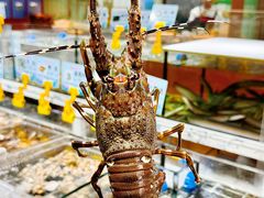 -张家卫·阳江菜·小海鲜(肥婆湾桥店)